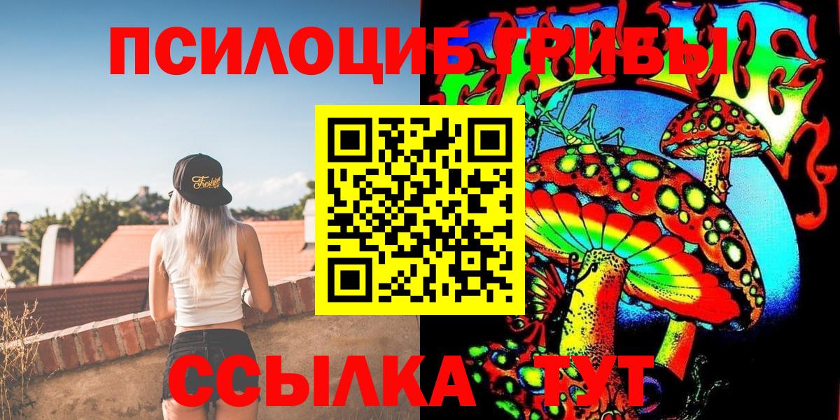 Северобайкальск  Галлюциногенные грибы Psilocybe  Вход с VPN 