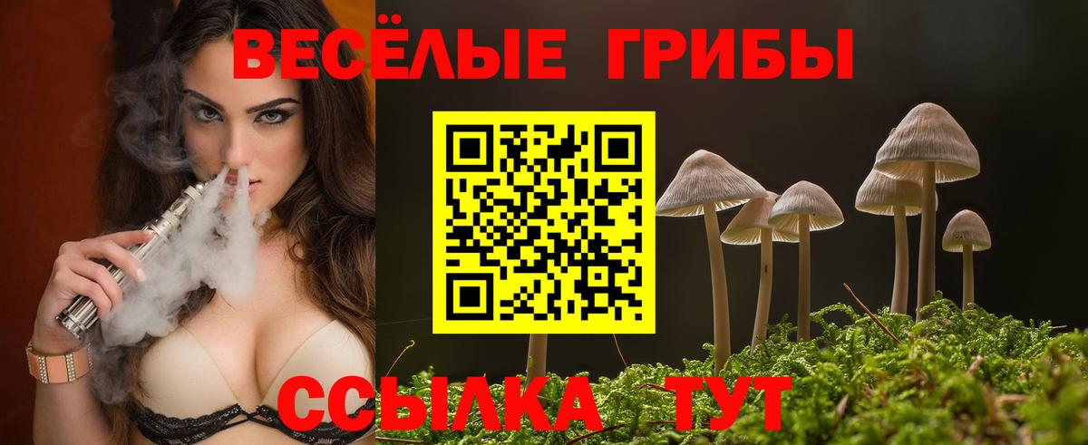 Псилоцибиновые грибы прущие грибы Северобайкальск